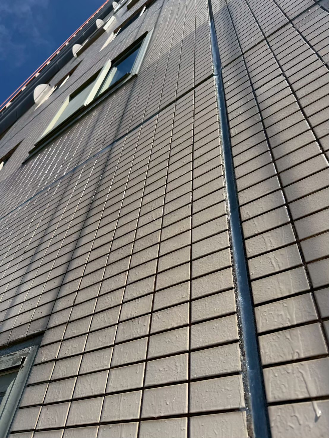 矽利康更新工程